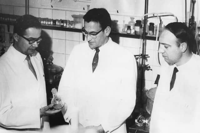Scientists researching the production of insulin in 1964. (Photo by Keystone/Hulton Archive/Getty Images)