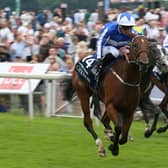 On track: Winter Power is still on course for Royal Ascot depite her defeat in the Temple Stakes. Picture: Nigel French/PA Wire.