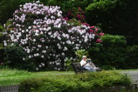 A visitor enjoys Roundhay Park in Leeds. Picture: Jonathan Gawthorpe.