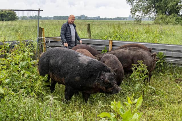 Jason keeps pigs at Epworth near Doncaster
