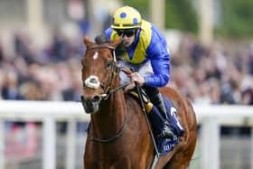 Impressive: Derby favourite Desert Crown won the Dante Stakes at York under Richard Kingscote and is fancied to give Sir Michael Stoute a sixth win in the Epsom Classic today. Picture: Alan Crowhurst/Getty
