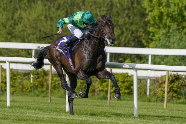 Leading chance: Ryan Moore riding Stone Age win The Derby Trial Stakes at Leopardstown Racecourse on May 08, 2022 in Dublin, Ireland. (Photo by Alan Crowhurst/Getty Images)