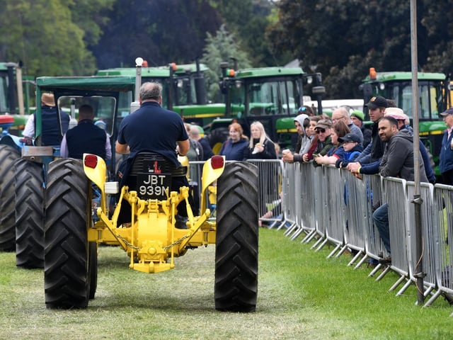 In the parade ring