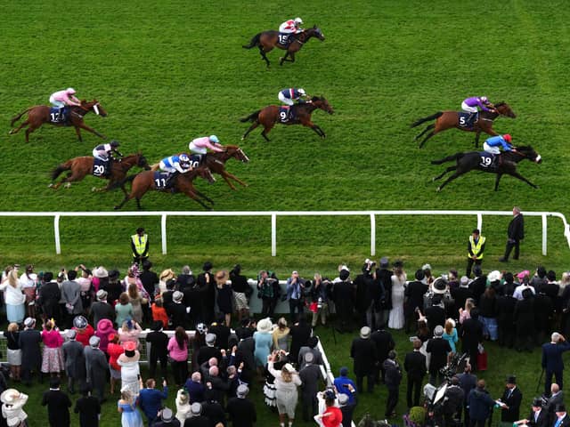 Eyes on Tees: Adrian Nicholls' Tees Spirit ridden by Barry McHugh (bottom right) wins The Simpex Express 'Dash' Handicap at Epsom. Picture: John Walton/PA Wire.