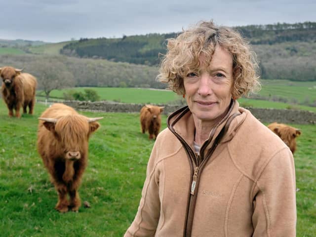 Julia Carr with her Highland cattle