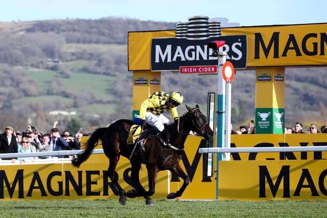 Cheltenham king: Dual Gold Cup winner Al Boum Photo has been retired. Picture: Tim Goode/PA Wire.