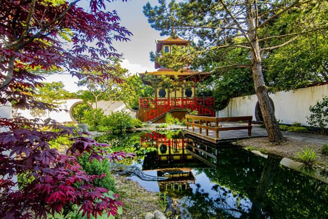 The Japanese garden and pagoda in Peasholm Park, Scarborough.  
Technical details: Nikon D850, 12-24 mm lens shot with the exposure 1/160th of a second at  f9, 640ISO. Picture Tony Johnson