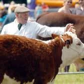 Honley Show in 2010