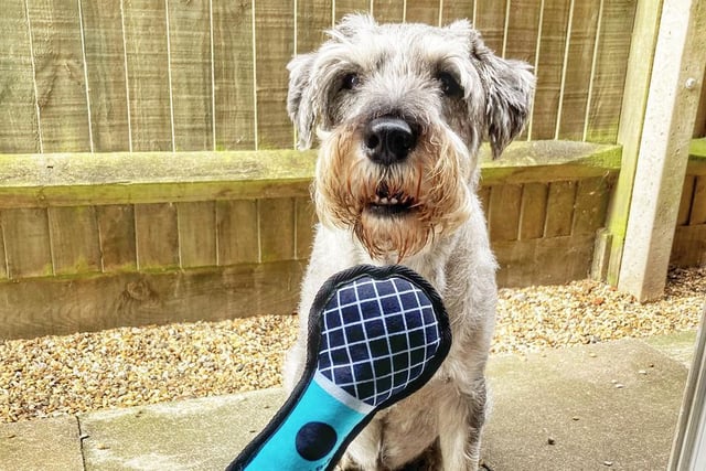 Unbelievable, Jeff! Post-match interviews will never be the same again after seeing this barking mad pundit looking woof after the game ... of fetch!