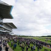 Another busy day of racing at York (Picture: PA)