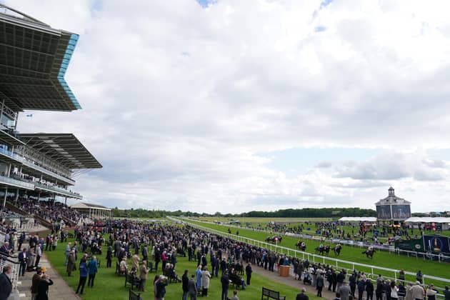 Another busy day of racing at York (Picture: PA)