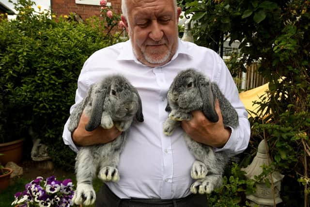 Rabbit Judge and keeper Garry Richardson pictured with his Rabbits at Doncaster. Image: Simon Hulme