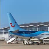 TUI's managing director has issued a statement apologising for the delays