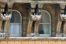 Seagulls nesting in the eaves at the Grand Hotel. (Credit: Ernesto Rogata)