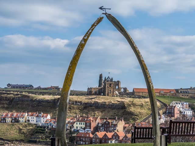 Whitby. Picture: James Hardisty.