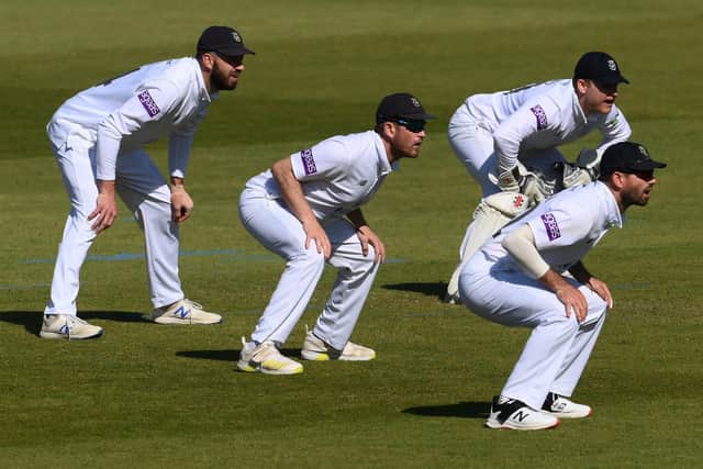 James Vince, Liam Dawson, Ben Brown and Ian Holland of Hampshire line up in the slips during the LV= Insurance County Championship match between Hampshire and Yorkshire at Ageas Bowl. (Picture: Mike Hewitt/Getty Images)
