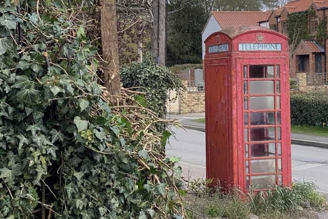 The neglected phone box. Photo courtesy of Paul Garbutt.
