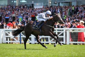 WINNER: Dramatised ridden by Daniel Tudhope wins The Queen Mary Stakes on day Two of Royal Ascot Picture: Alex Livesey/Getty Images