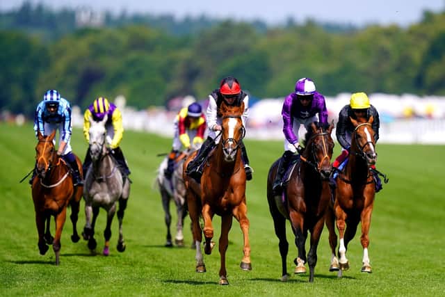 Not this time: Kyprios ridden by jockey Ryan Moore (centre) denies Stradivarius, right, a fourth Ascot Gold Cup at Royal Ascot. Picture: Adam Davy/PA Wire.