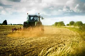 ‘The farming industry is a jigsaw puzzle and tackling one element, such as food production, in isolation to other pieces is a hiding to nothing,’ Sarah Todd warns. Picture: Anthony Brown/adobe stock.