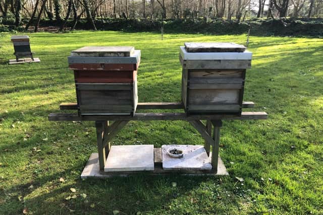 More than 400,000 of the insects were stolen in five hives