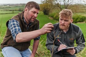 Morrisons is employing a team of ‘tree advisers’ who will give specialist advice to UK farmers on the best species of trees to plant, where to plant them and how to manage their woodland