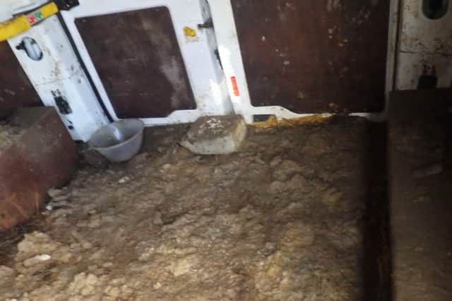 The filthy van where the dogs were kept
