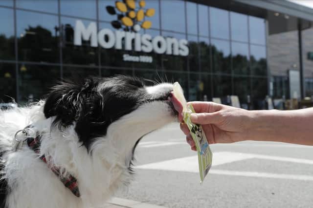 Morrisons is selling ice pops for dogs.