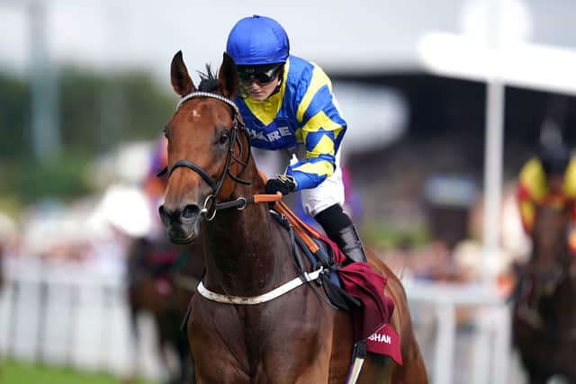 Heading north: Hollie Doyle and Trueshan are bidding to win the Northumberland Plate having missed this year's renewal of the Ascot Gold Cup. Picture: John Walton/PA Wire.