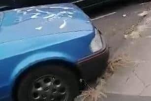 White paint was splattered on cars