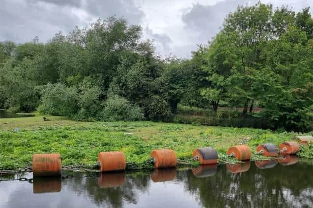 The area behind the raft is not dry land - but an accumulation of plants on the water. (Photo: Angling Trust Yorkshire).