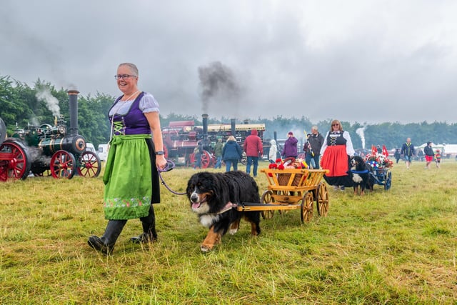 Carol Dunnill, of Rochdale, walking a Bernese Mountain dog following a display in the main ring.