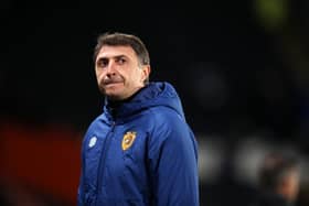 HEAD COACH: Hull City's Shota Arveladze. Picture: Getty Images.