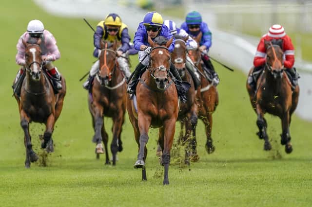 All set: Flotus, centre, is due to run in the William Hill Summer Stakes at York tomorrow.  (Photo by Alan Crowhurst/Getty Images)