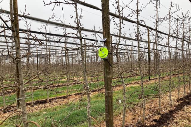 A pollination and insect biodiversity innovator has teamed up with Innocent drinks to install its listening devices in apple tree orchards in Spain to tackle declining insect populations.