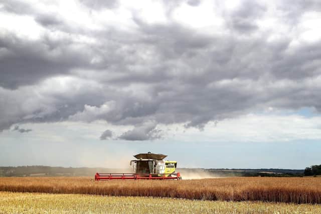 Concerns are being voiced about the challenges facing the agricultural industry. Photo: Gareth Fuller/PA