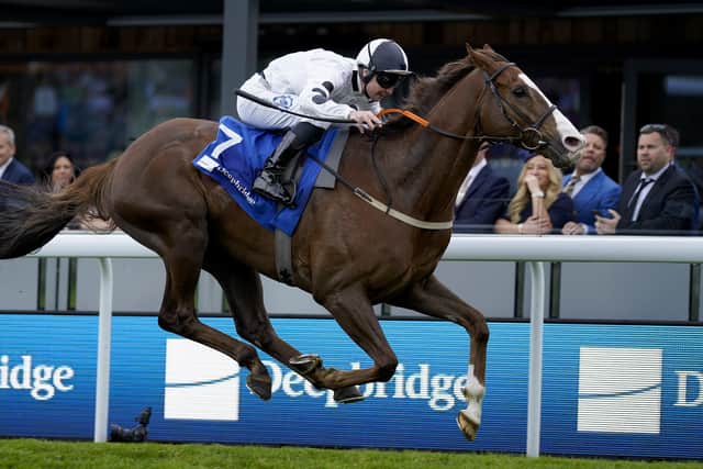 Yorkshire hope: David and Nicola Barron's Baryshnikov runs in the John Smith's Cup at York today. (Photo by Alan Crowhurst/Getty Images)