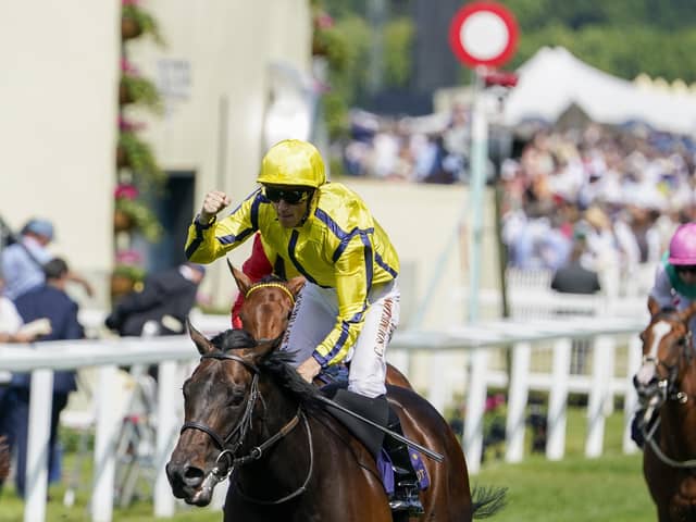 Raring to go: Perfect Power wins the Commonwealth Cup at  Royal Ascot 2022. (Photo by Alan Crowhurst/Getty Images)