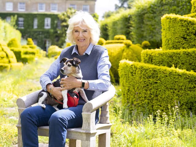 A new documentary about Camilla will be shown on ITV this week.