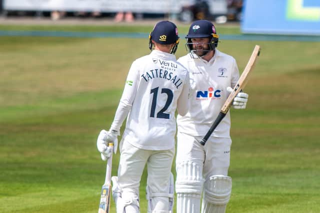 Great partnership between Yorkshire's Jonny Tattersall and Adam Lyth on the opening day of the match.
