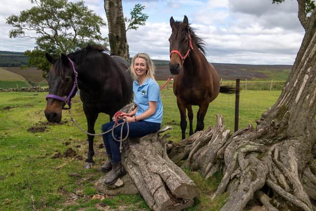 Faye Wheldon had ridden as a youngster but had a bad fall which led to her pursuing the academic side of the horse industry and business which she says she enjoys more than riding.