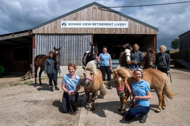 A retirement yard for horses, set up by Faye Wheldon, has celebrated its tenth anniversary as it turns out there is quite the need for what she has dubbed “a nursing home for horses”.
