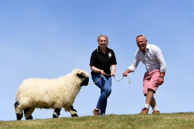 Jules Hudson is pictured with 18 year old Lucy Atkinson with her Valais Blacknose Sheep named Spot. Valais Blacknose Sheep is hosting its first ever National Show at the GYS.