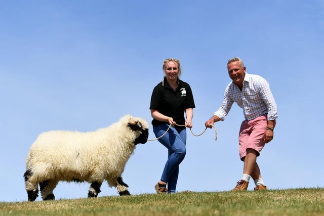 Presenter Jules Hudson is pictured. with 18 year old Lucy Atkinson with her Valais Blacknose Sheep named Spot.