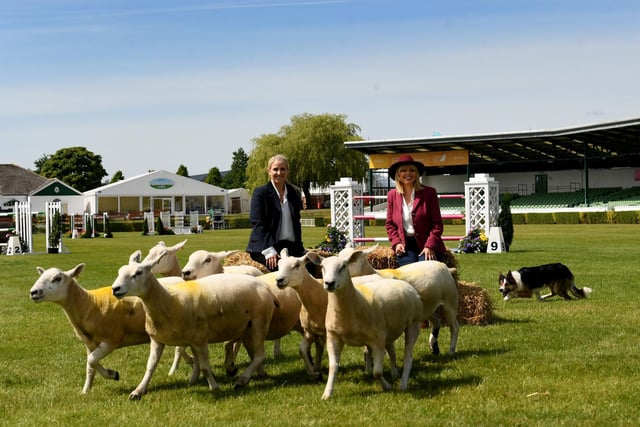 Sheepdog Moss keeps his flock in check as Christine Talbot and Lizzie Jones, dressed by clothing brand Manteaux, welcome sheepdog trials for the first time this year.
