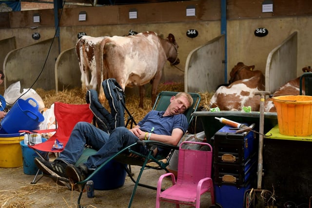 A man takes a rest after setting his stall up at the cattle sheds on Monday ahead of the Great Yorkshire Show.