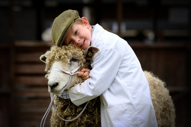 Samuel Brook, seven, from Selby with his Lincoln Longwool ewe Maggie, who came second in her class