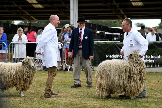 Brian Larson came from North Carolina, USA to judge the Lincoln Longwool sheep class