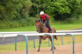 On the gallops: Jockey Danny Tudhope riding Get Shirty at David O'Meara's stables. Picture: Hannah Ali