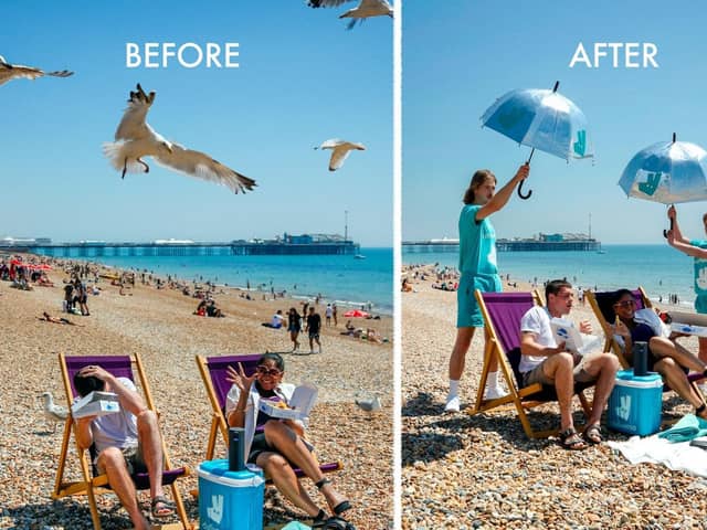 The 'Chipwatch' teams aim to deter seagulls from stealing chips